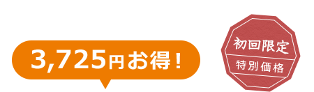 3,725円お得！ 初回限定 特別価格