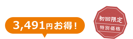 3,491円お得！ 初回限定